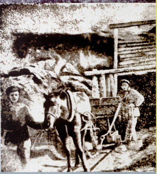 Конная откатка на первых штольнях Прокопьевска. 1925г.